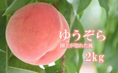 No.2235ヤマ考紺野果樹園 もも ゆうぞら 約2kg【2026年発送】