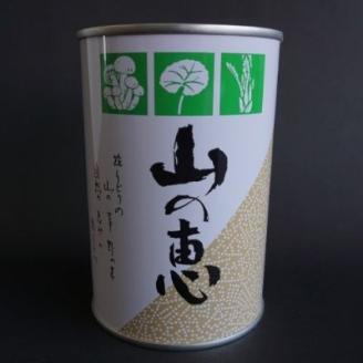 No.0549 たけのこ 缶詰（根曲り筍）2缶セット