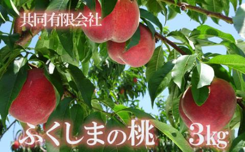 No.2361もも　晩生種3kg【2025年発送】