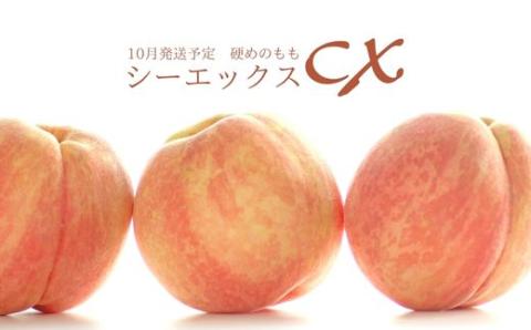 No.2580希少品種CX/シ－エックス 約3kg【2025年発送】