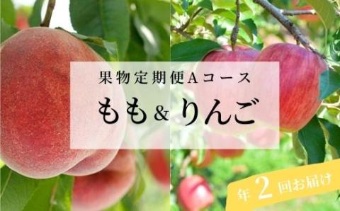 No.2511 くだもの定期便【Aコース/全2回】【2025年発送】