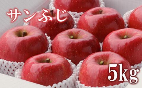 No.2307 りんご「サンふじ」約5kg【2025年度発送】
