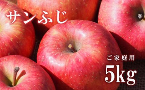 No.2308 りんご「サンふじ」家庭用 約5kg【2025年度発送】