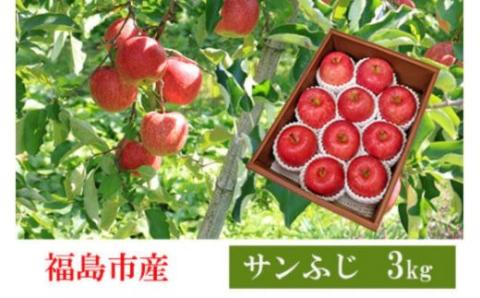 No.2357 共同有限会社　りんご「サンふじ」約3kg【2025年度発送】
