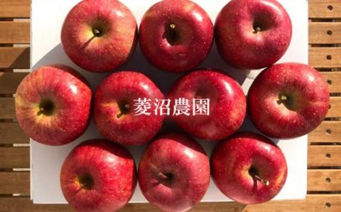 No.2402 菱沼農園　りんご「サンふじ」約3kg【2025年度発送】