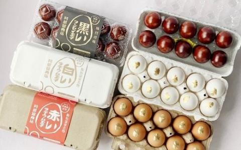 No.2667ラヂウム玉子クンセイ玉子セット