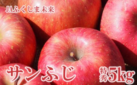No.2509 りんご「サンふじ」 約5kg 特秀14～18玉【2025年度発送】