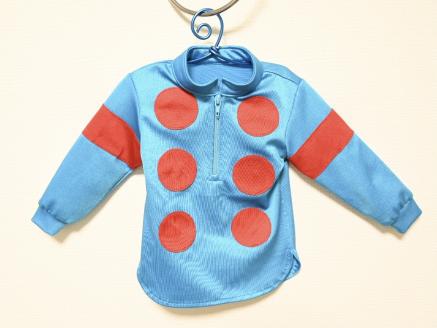 No.2012 　競馬ジョッキー　かわいいミニチュア勝負服　タイプＡ