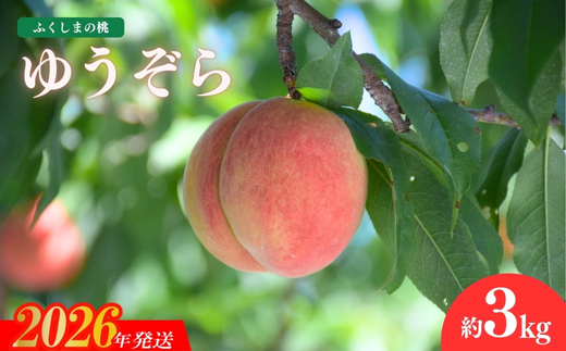 No.1203福島の桃　「ゆうぞら」約3kg【2026年発送】