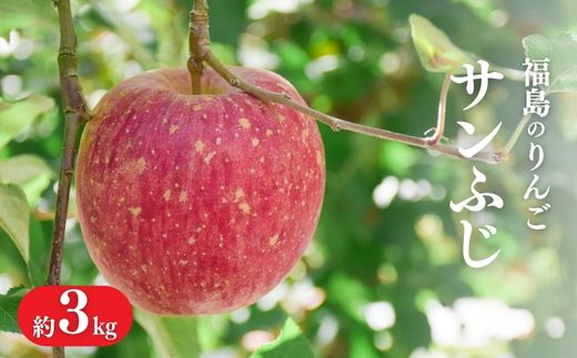 No.1471 りんご「サンふじ」約3kg【2025年度発送】