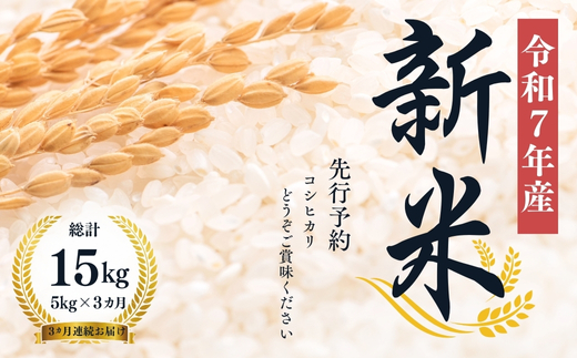 No.1501【令和７年産新米　先行予約】大文字屋米穀店【定期便3回】コシヒカリ 5kg 精米（3か月連続お届け）
