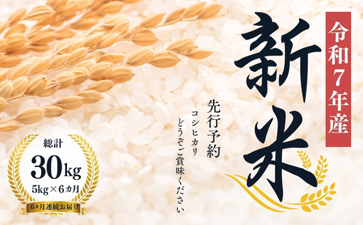No.1502【令和７年産新米　先行予約】大文字屋米穀店【定期便6回】コシヒカリ 5kg 精米（6か月連続お届け）