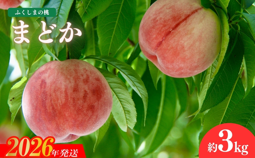 No.1509福島のもも「まどか」約3kg【2026年発送 先行予約】