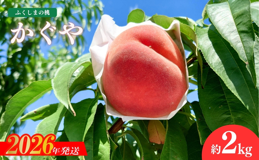 No.1514福島のもも「かぐや」約2kg【2026年発送 先行予約】