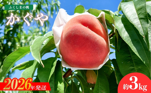 No.1515福島のもも「かぐや」約3kg【2026年発送 先行予約】