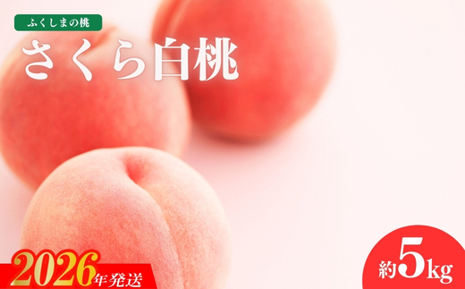 No.1519福島のもも「さくら白桃」約5kg【2026年発送 先行予約】