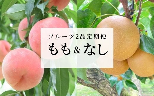 No.1633フルーツ2品定期便 もも・なし各約2kg【2025年発送】