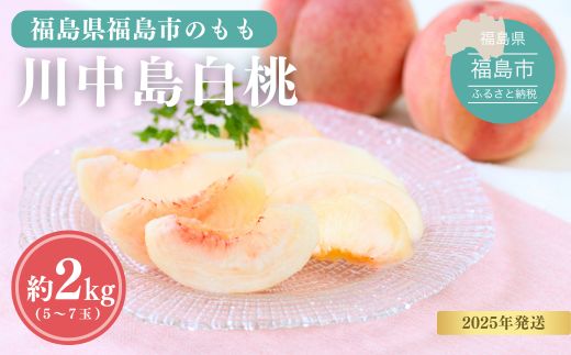 No.1689もも 川中島白桃 約2kg【2025年発送】