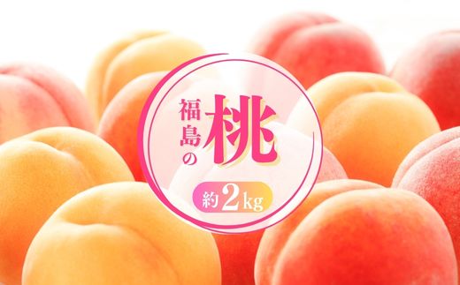 No.1697もも 白桃&黄桃 食べくらべセット 約2kg【2025年発送】