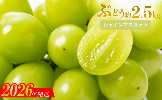No.1711シャインマスカット 約2.5kg (3～4房)【2026年発送】