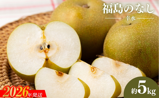 No.1714梨　なし　幸水　約5kg　【2026年発送】