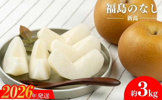 No.1721梨　なし　新高　約3kg 【2026年発送】