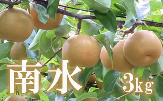 No.1724梨　なし　南水 約3kg　【2025年発送】