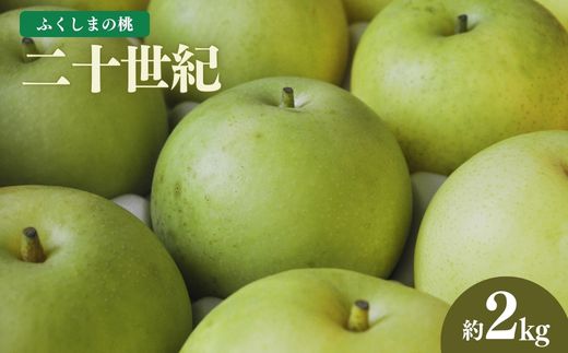 No.1726梨　なし　二十世紀　約2kg　【2025年発送】