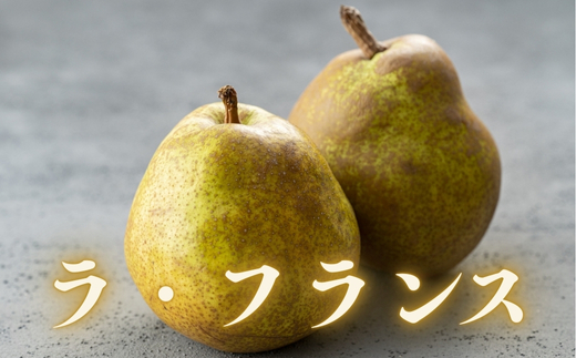No.1731ラ・フランス 約5kg　【2025年発送】