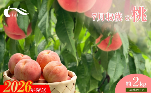 No.1757もも　7月収穫の桃　品種お任せ　約2kg【2026年発送】