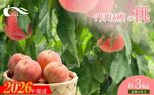 No.1759もも　7月収穫の桃　品種お任せ　約3kg【2026年発送　先行予約】