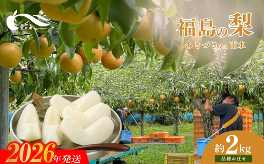 No.1764梨　品種おまかせ　(あきづき又は南水)約2kg【2026年発送】