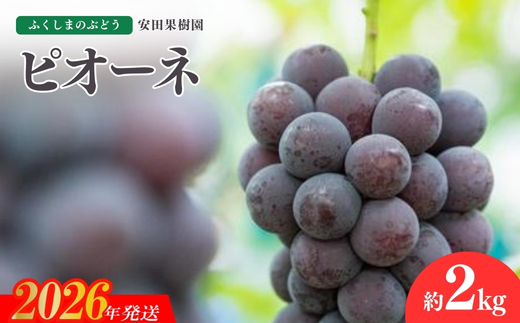 No.1801ぶどう　ピオーネ約2kg【2026年発送 先行予約】