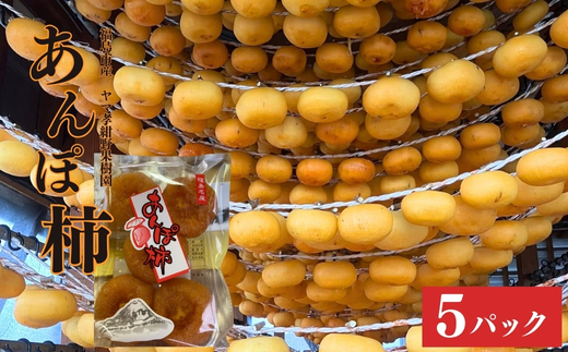 No.1804ヤマ孝紺野果樹園　あんぽ柿(ひらたね柿)5パック入/1箱【2025年度発送】