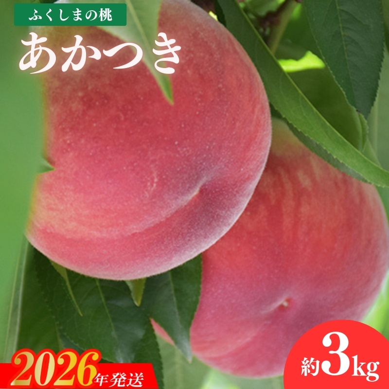 No.1881すずき果樹園　もも　あかつき 約3kg【2026年発送】
