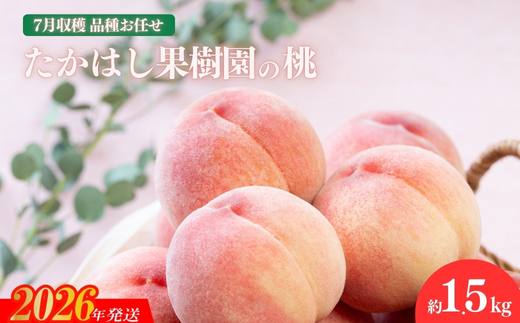 No.1904たかはし果樹園の桃　7月収穫 福島市産 白桃 品種 おまかせ (ちよひめ、日川白鳳、暁星、白鳳、あかつき) 約1.5kg【2026年発送 先行予約】