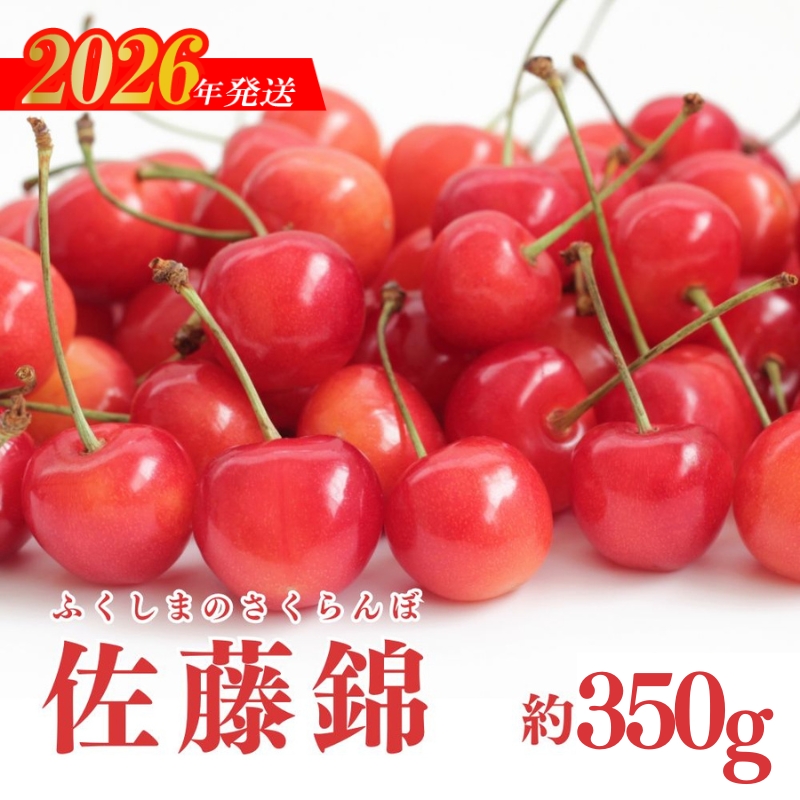 No.1922福島のさくらんぼ（佐藤錦）バラ詰め約350ｇ【2026年発送】
