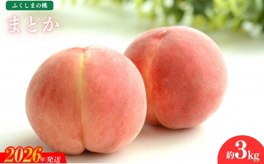 No.1977 もも「まどか」約3kg【2026年発送　先行予約】
