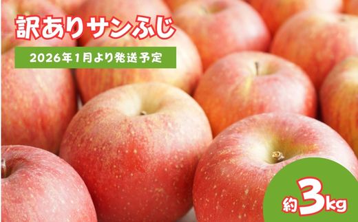 No.2064 りんご「サンふじ」家庭用 約3kg【2026年１月より発送】