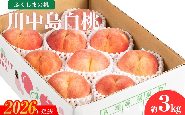 No.2153福島のもも　川中島白桃　約3kg【2026年発送】
