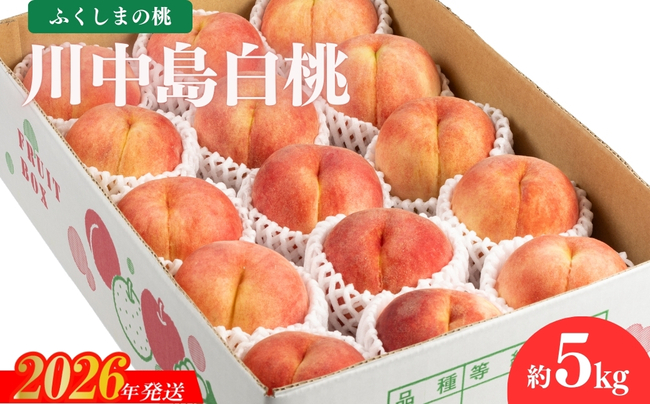 No.2154福島のもも　川中島白桃　約5kg【2026年発送】