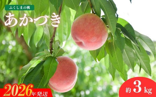 No.2206 もも「あかつき」約3kg【2026年発送 先行予約】