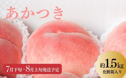 No.2218 もも「あかつき」約1.5kg 化粧箱入【2026年発送 先行予約】