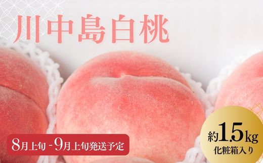 No.2219 【先行予約】もも「川中島白桃」約1.5kg 化粧箱入【2025年発送】