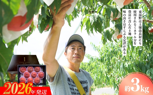 No.2294特選福島・東湯野のもも約3kg【2026年発送 先行予約】