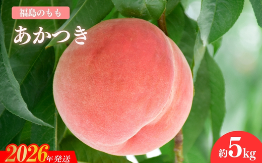 No.2296福島のもも「あかつき」約5kg【2026年発送 先行予約】