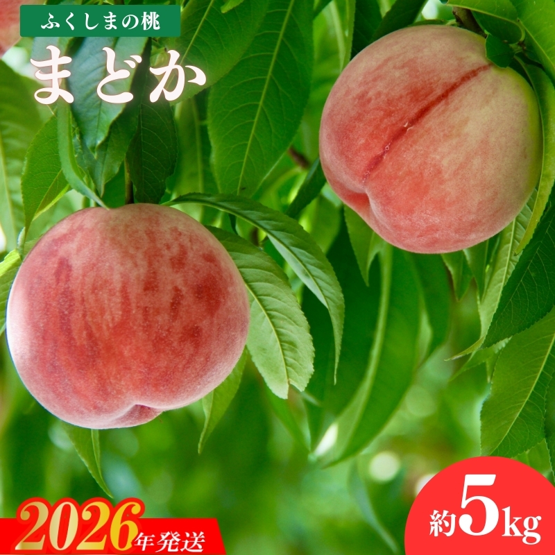 No.2297福島のもも「まどか」約5kg【2026年発送 先行予約】