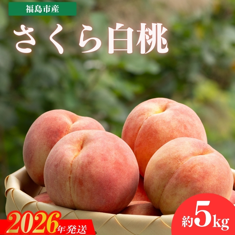 No.2321もも　「さくら白桃」約5kg【2026年発送】
