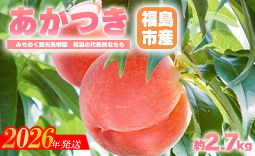 No.2344もも「あかつき」贈答用　約2.7kg【2026年発送　先行予約】