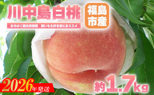 No.2347もも「川中島白桃」贈答用　約1.7kg【2026年発送　先行予約】